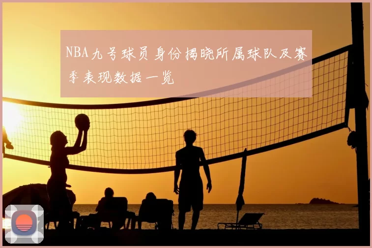 NBA九号球员身份揭晓所属球队及赛季表现数据一览