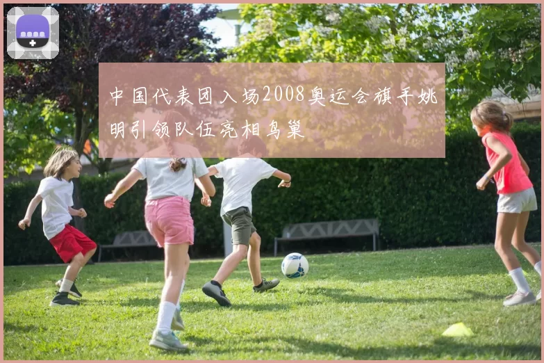 中国代表团入场2008奥运会旗手姚明引领队伍亮相鸟巢