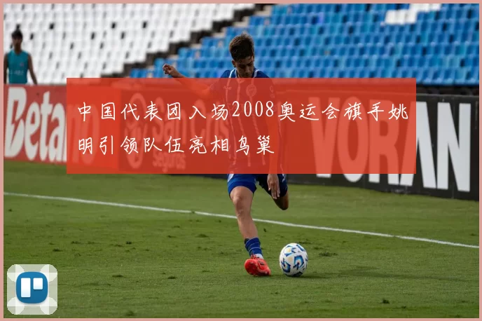 中国代表团入场2008奥运会旗手姚明引领队伍亮相鸟巢