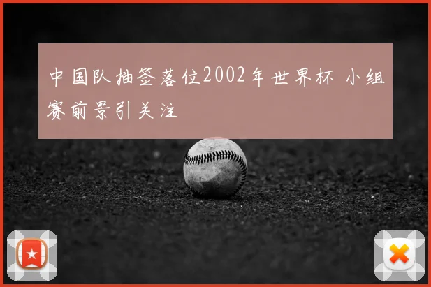 中国队抽签落位2002年世界杯 小组赛前景引关注