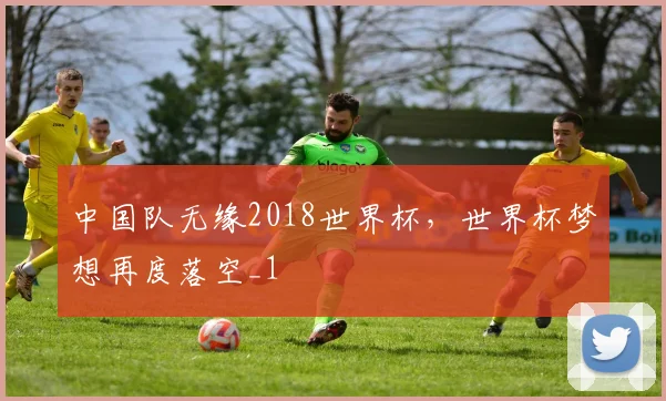 中国队无缘2018世界杯，世界杯梦想再度落空_1