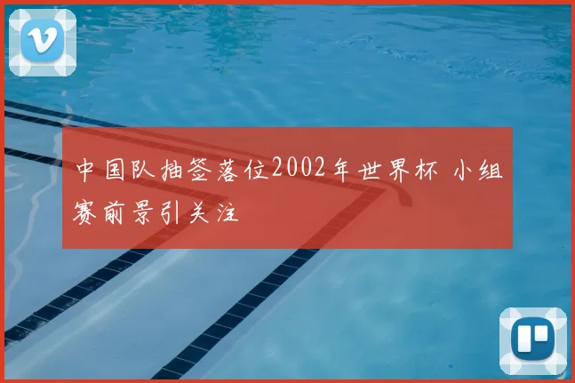 中国队抽签落位2002年世界杯 小组赛前景引关注